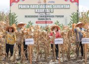 Wali Kota Pematangsiantar Wesly Silalahi SH MKn diwakili Staf Ahli Bidang Pemerintahan  mengikuti kegiatan Panen Jagung Serentak Kuartal II Tahun 2025.
