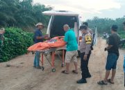 Misteri Nenek Hilang Terjawab, Jasad Hermin Lasih Silalahi Ditemukan Membusuk di Parit Perkebunan Sawit